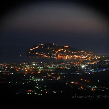 Arman Alanya